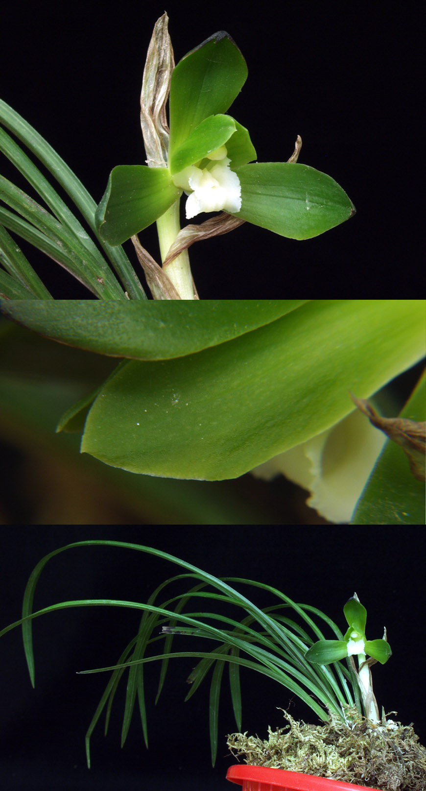 ������ ū������ �� �� �ֽ��ϴ�.