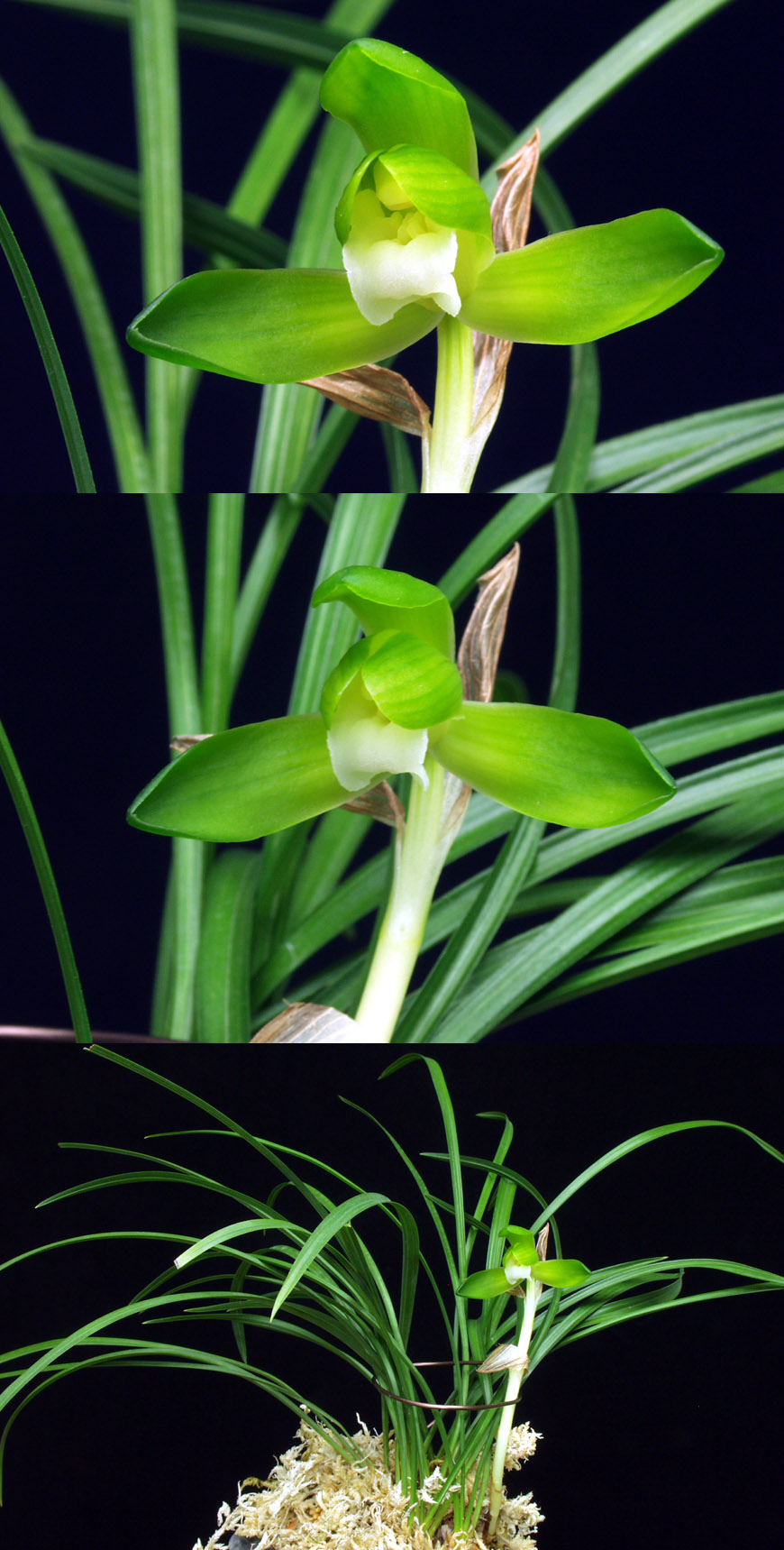 ������ ū������ �� �� �ֽ��ϴ�.