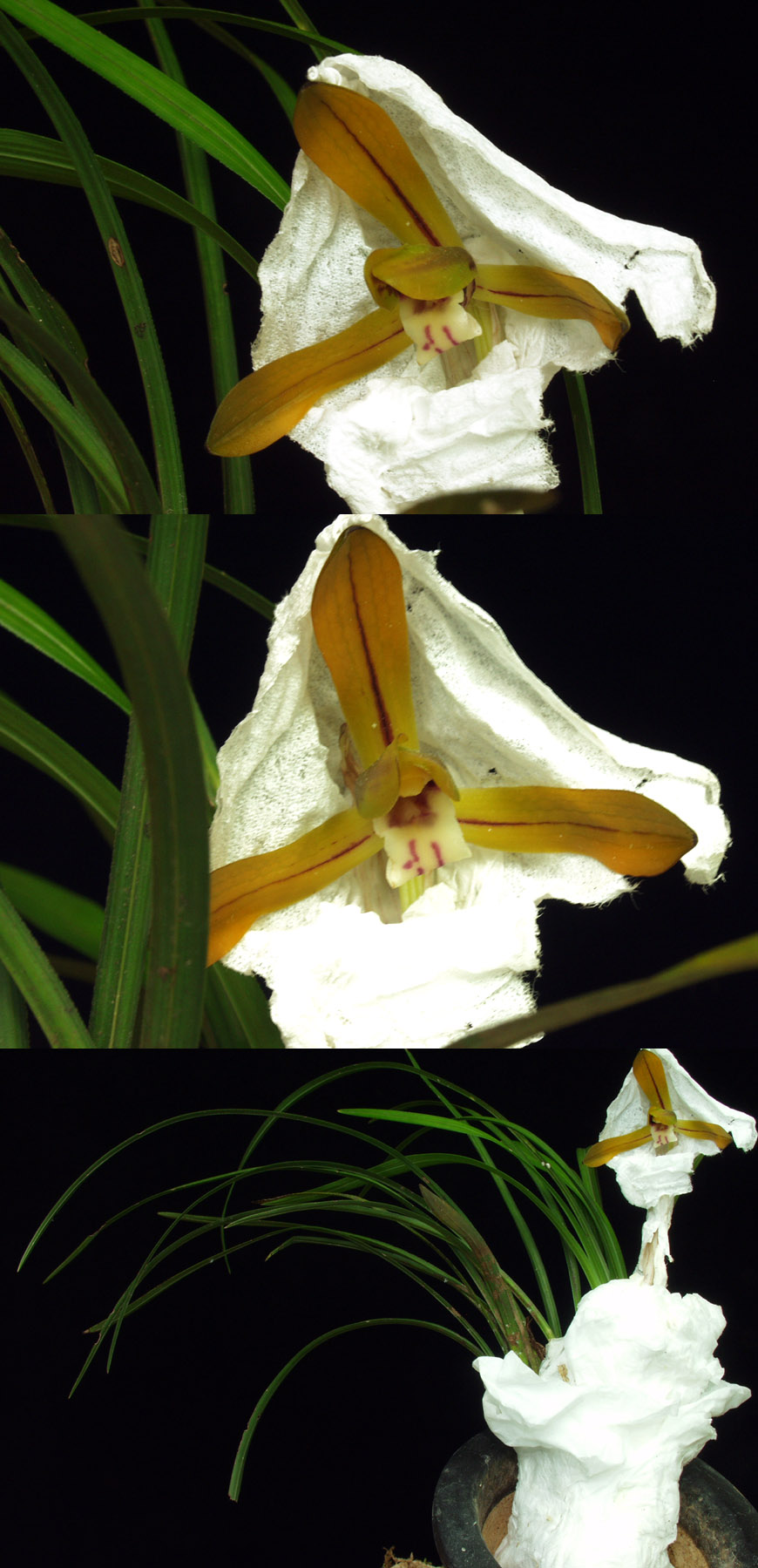 ������ ū������ �� �� �ֽ��ϴ�.