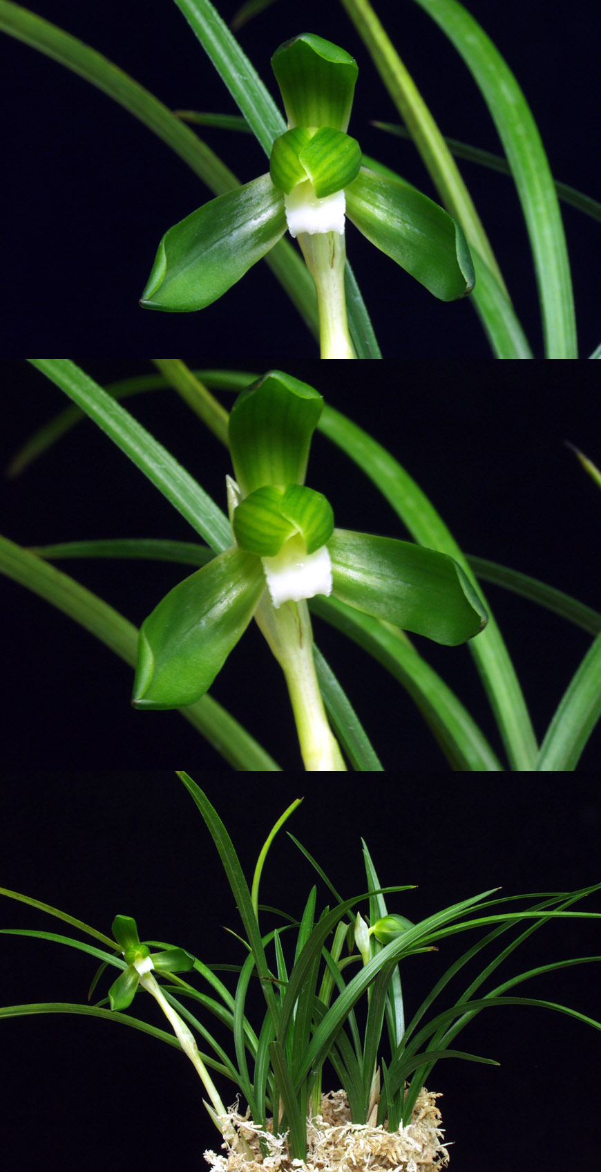 ������ ū������ �� �� �ֽ��ϴ�.