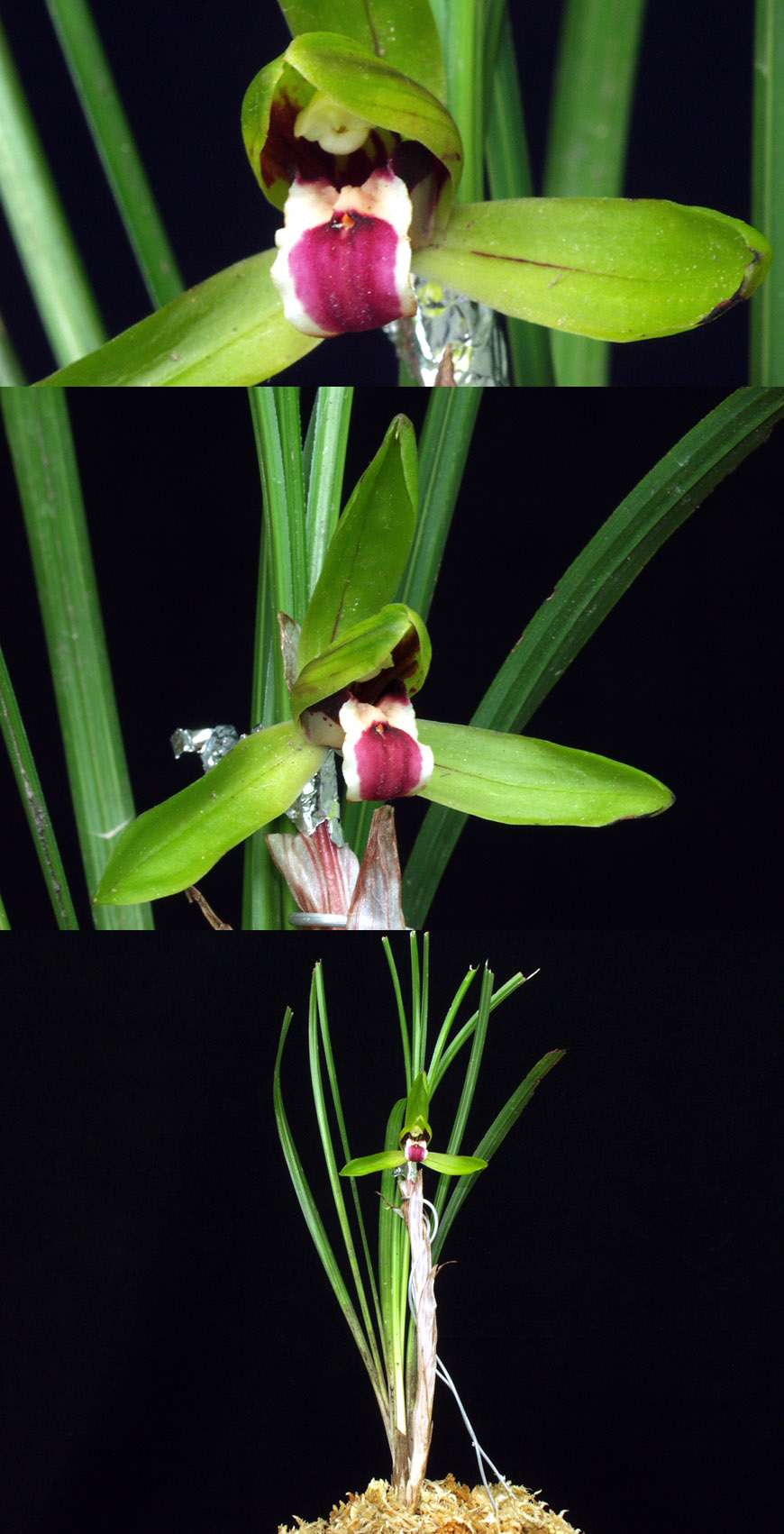 ������ ū������ �� �� �ֽ��ϴ�.