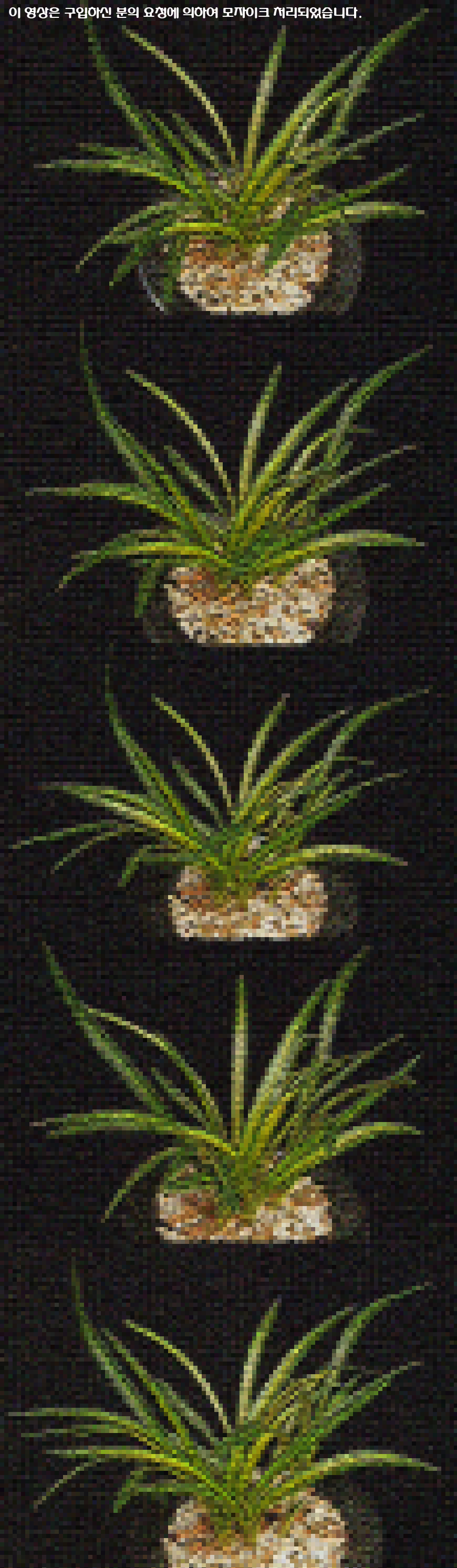 ������ ū������ �� �� �ֽ��ϴ�.