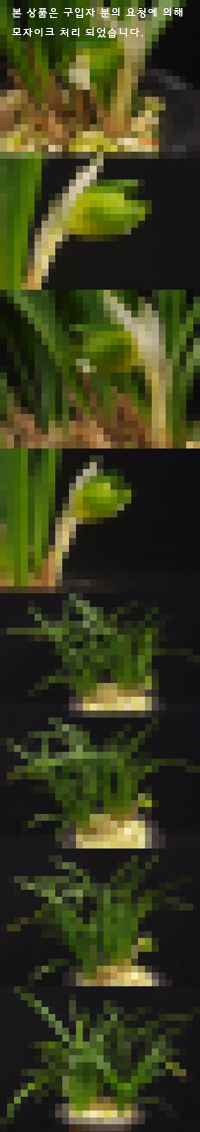 ������ ū������ �� �� �ֽ��ϴ�.